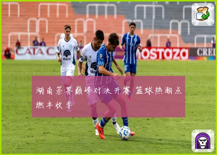 湖南茶界巅峰对决开赛 篮球热潮点燃丰收季