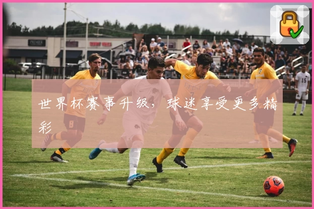 世界杯赛事升级，球迷享受更多精彩