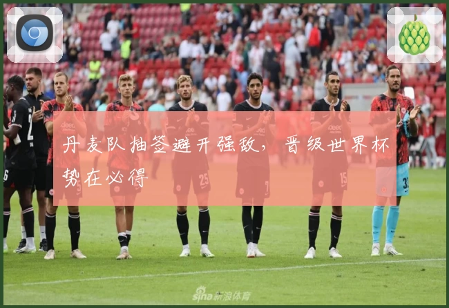 丹麦队抽签避开强敌，晋级世界杯势在必得